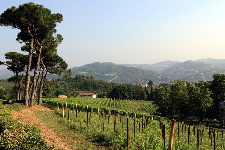 Galleria panoramica